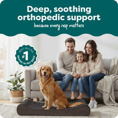 Espuma ortopédica de alta densidad FurHaven ofrece soporte duradero para articulaciones.