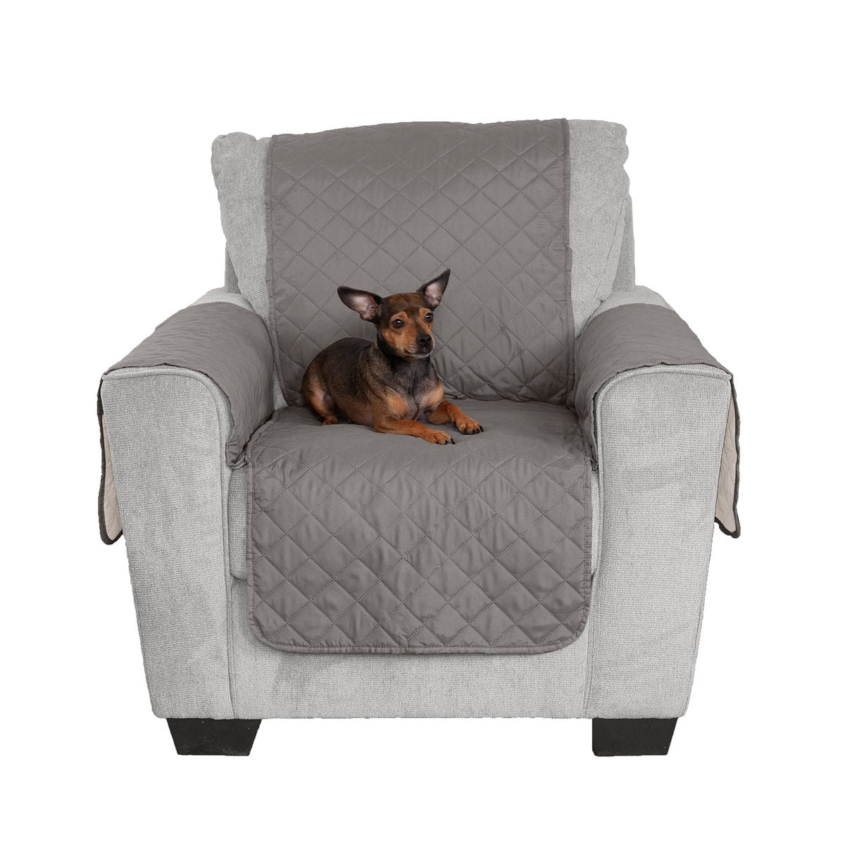 Funda Furhaven para silla impermeable, protege contra pelos y derrames.