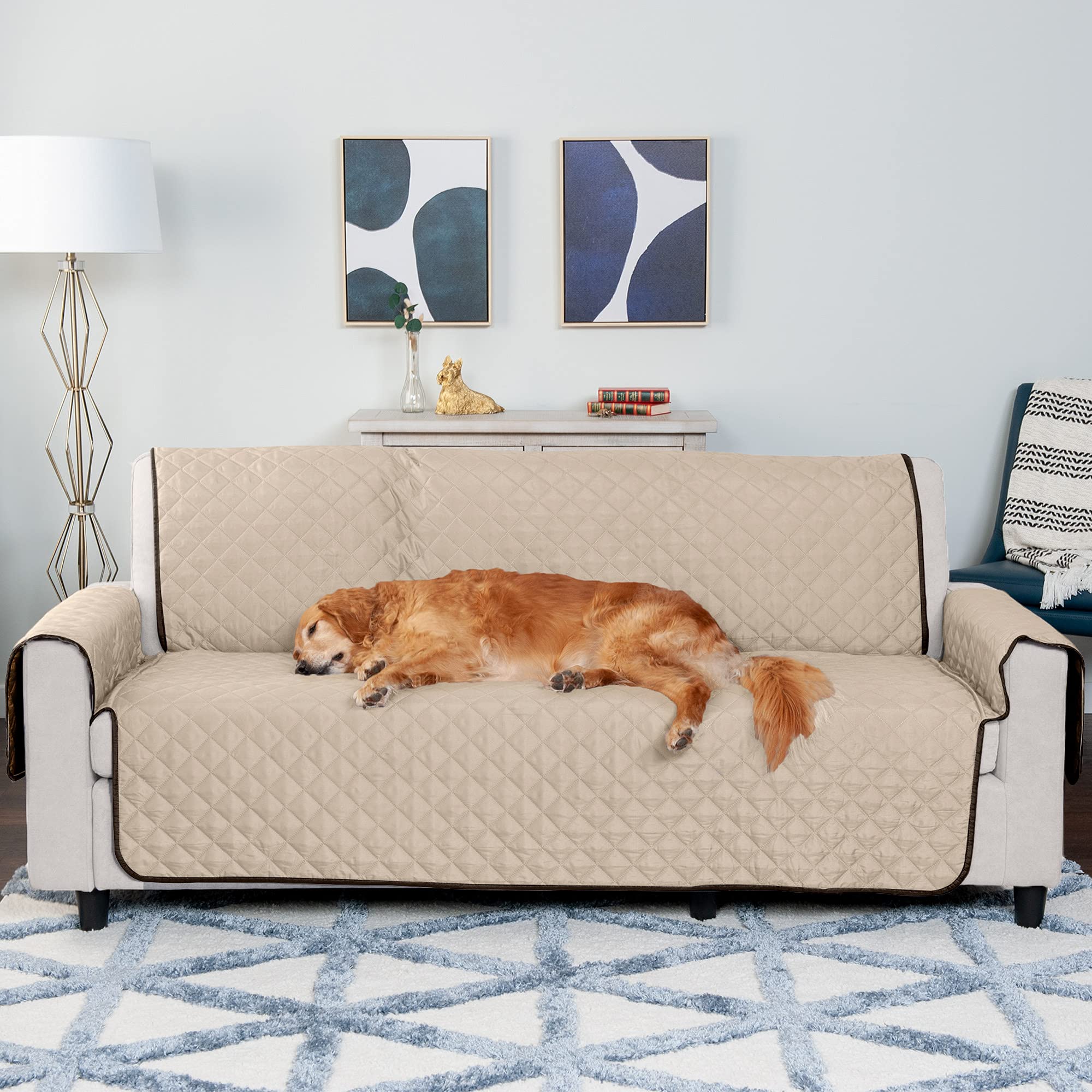 Lavable a máquina Furhaven facilita la limpieza del protector.