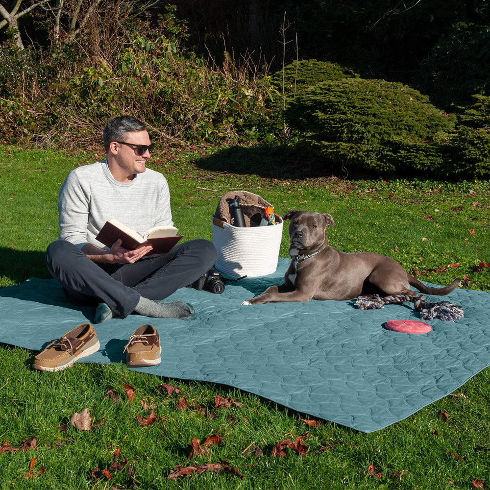 Protector Furhaven para muebles, impermeable, ideal para sofá y sillón