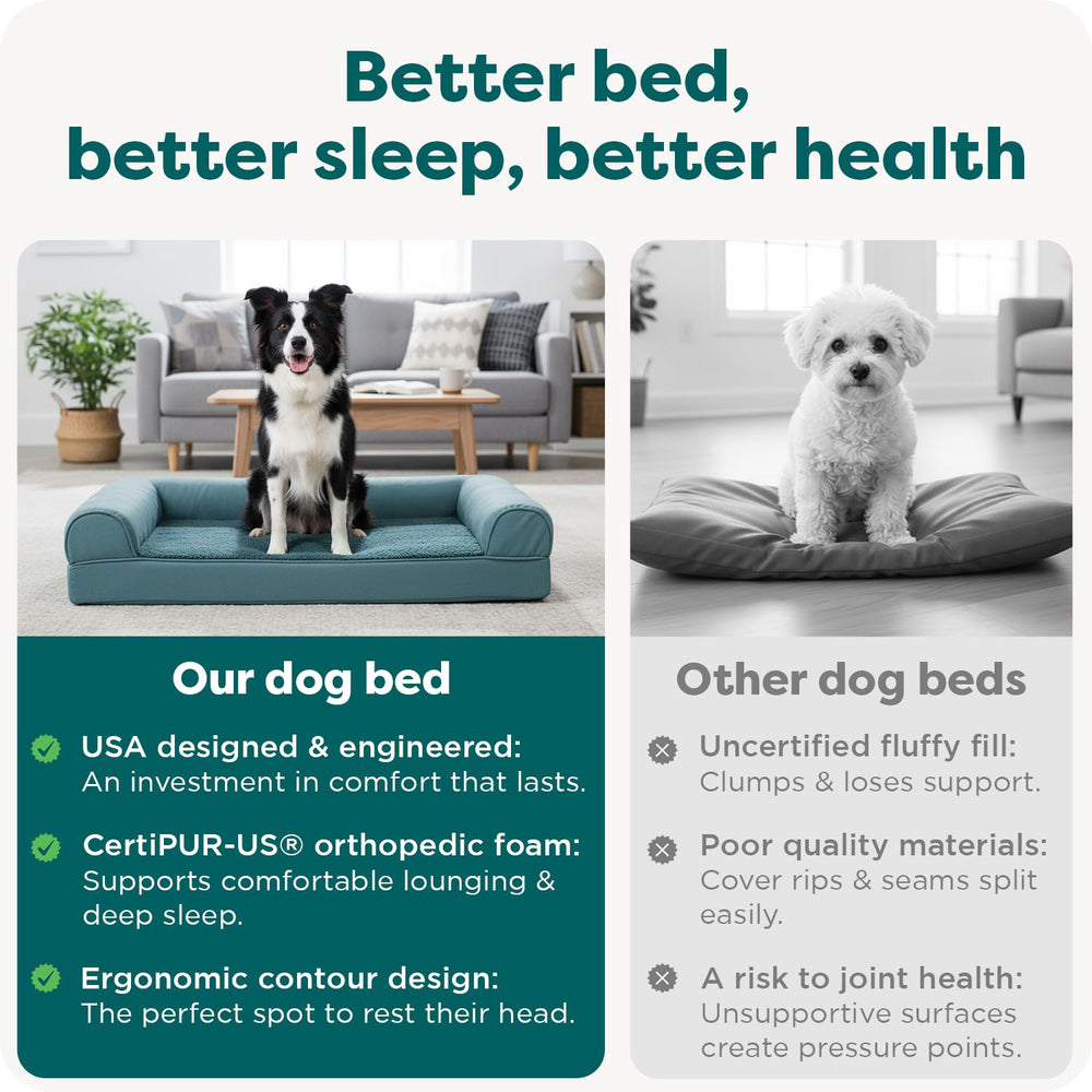 FurHaven Tejido plush suave, tacto reconfortante para siestas
