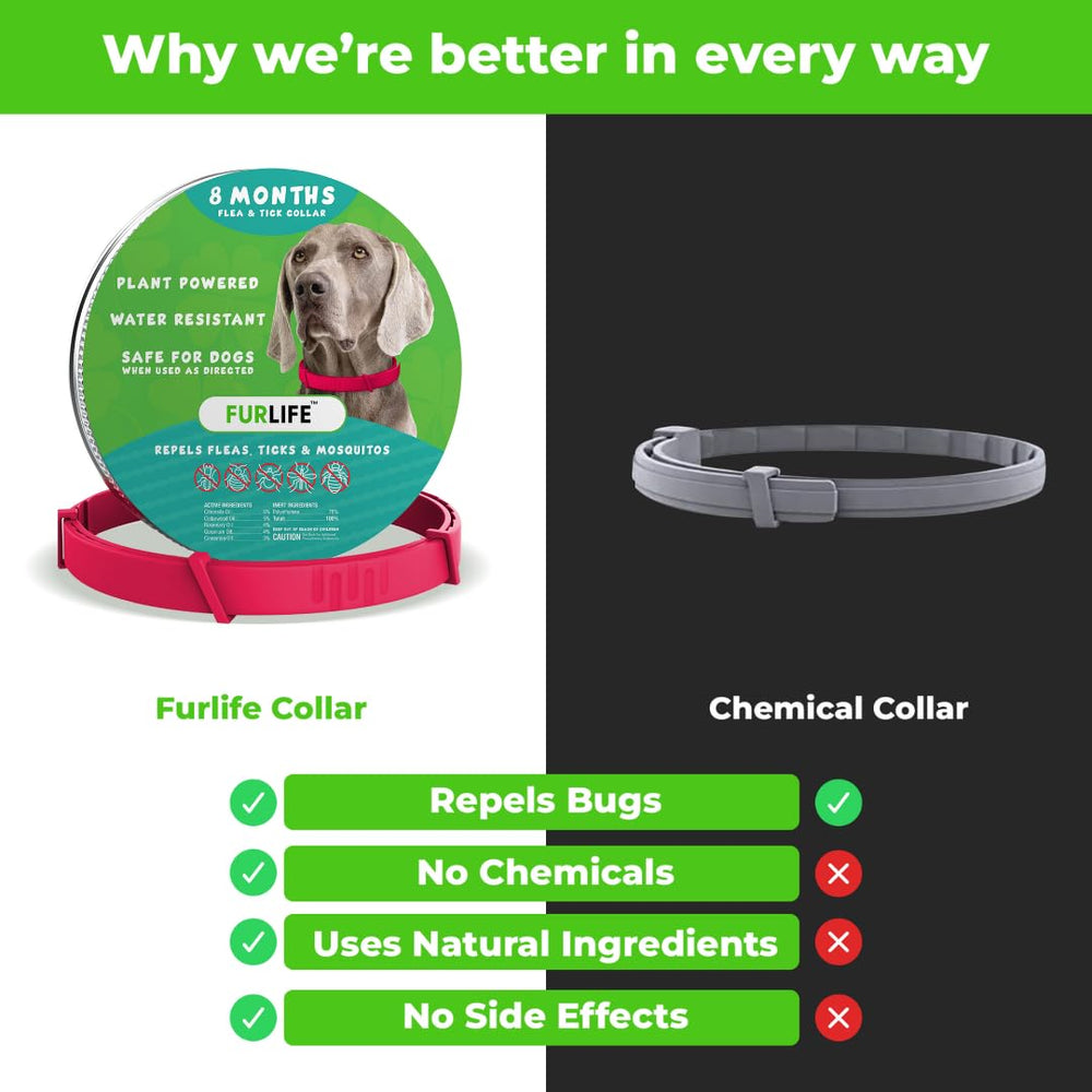 Collar FurLife con aceites naturales de citronela, cedro y romero para prevención suave.