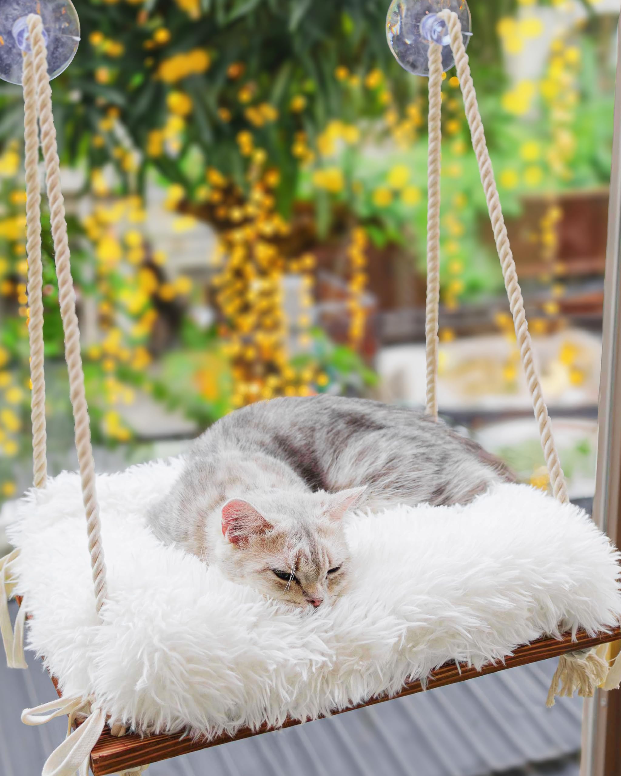 Hamaca para gatos de Furrfinity con asiento de pino sólido, descanso cómodo.