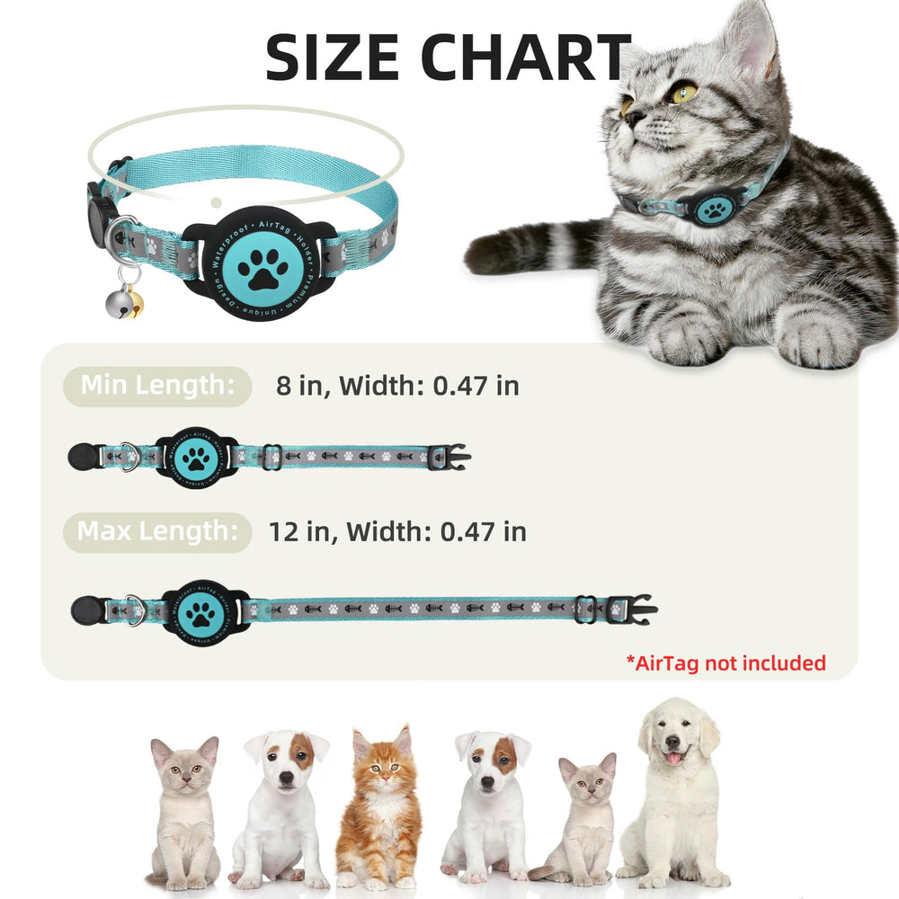 Collar ligero y cómodo, ideal para gatitos activos.