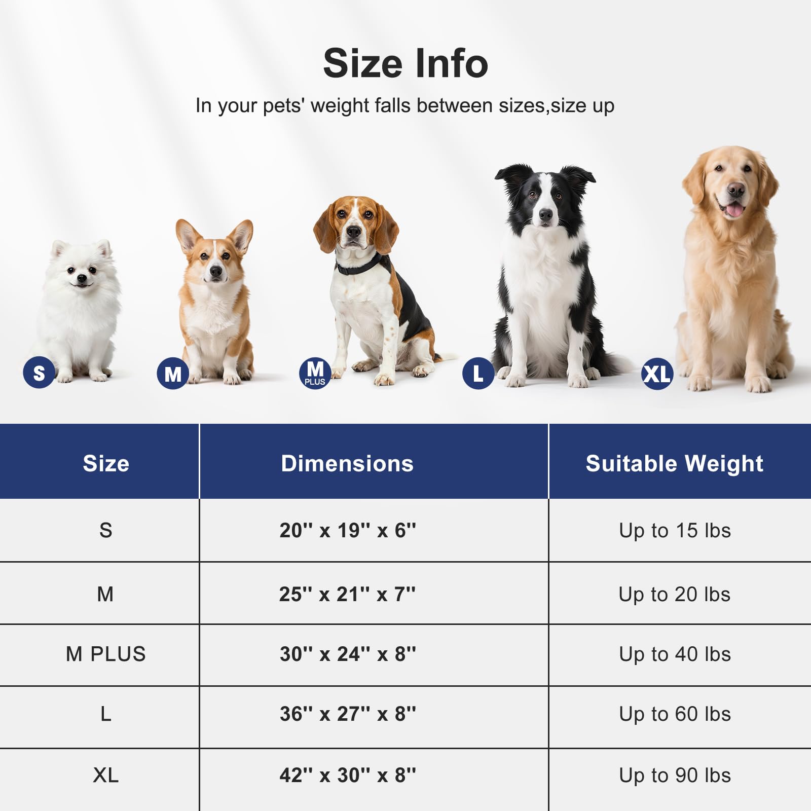 Varias tallas FURTIME para perros de diferentes tamaños.