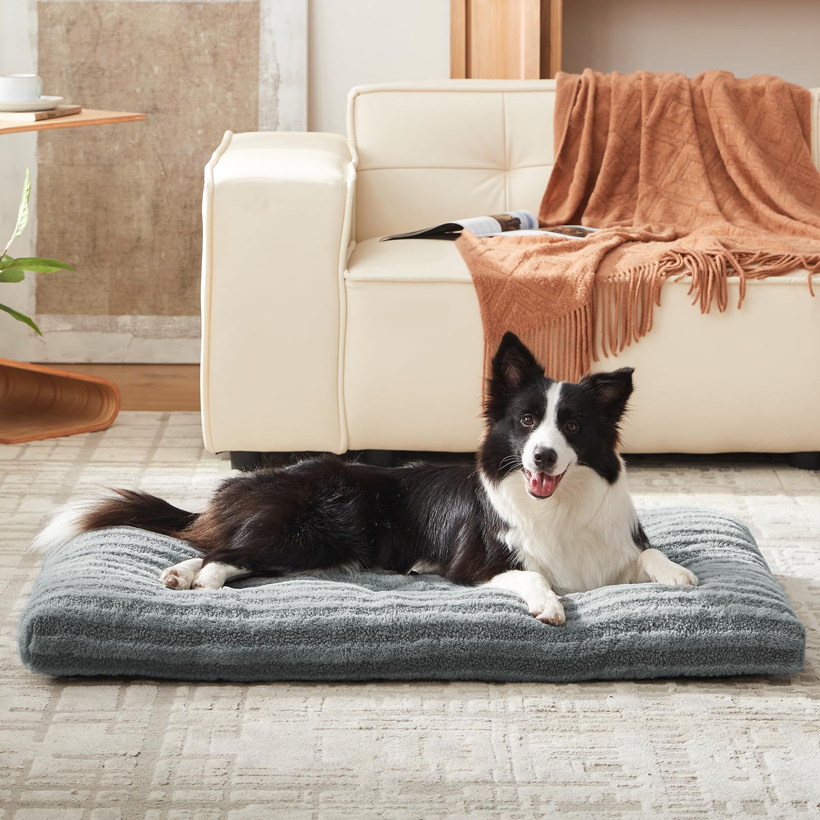 Cama FURTIME adecuada para kennel, estable y segura.