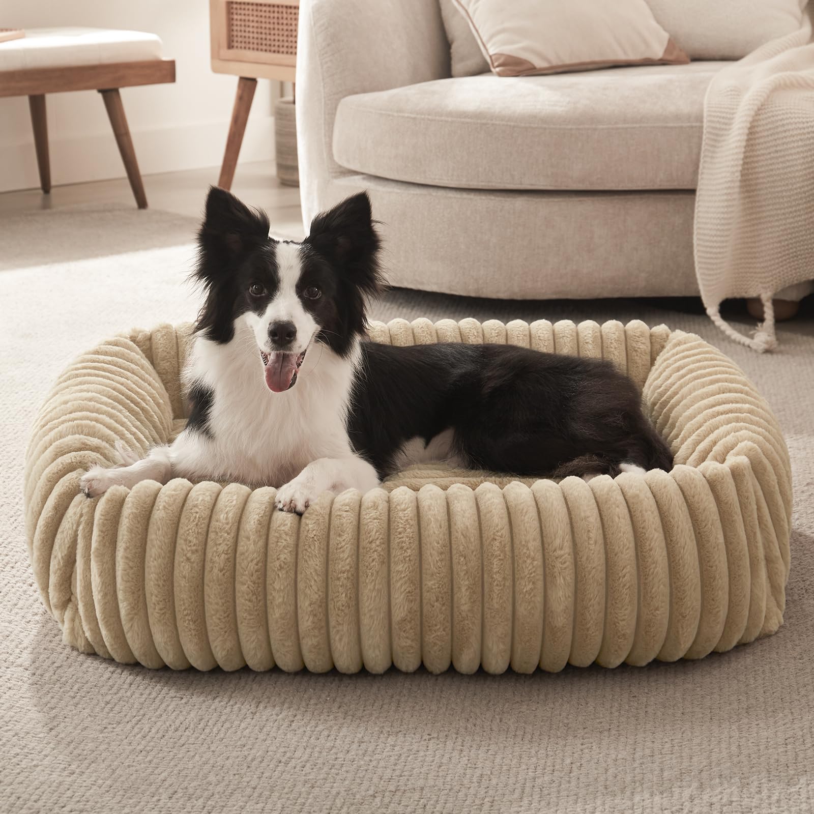 Cama FURTIME mediana con funda desmontable, fácil de limpiar