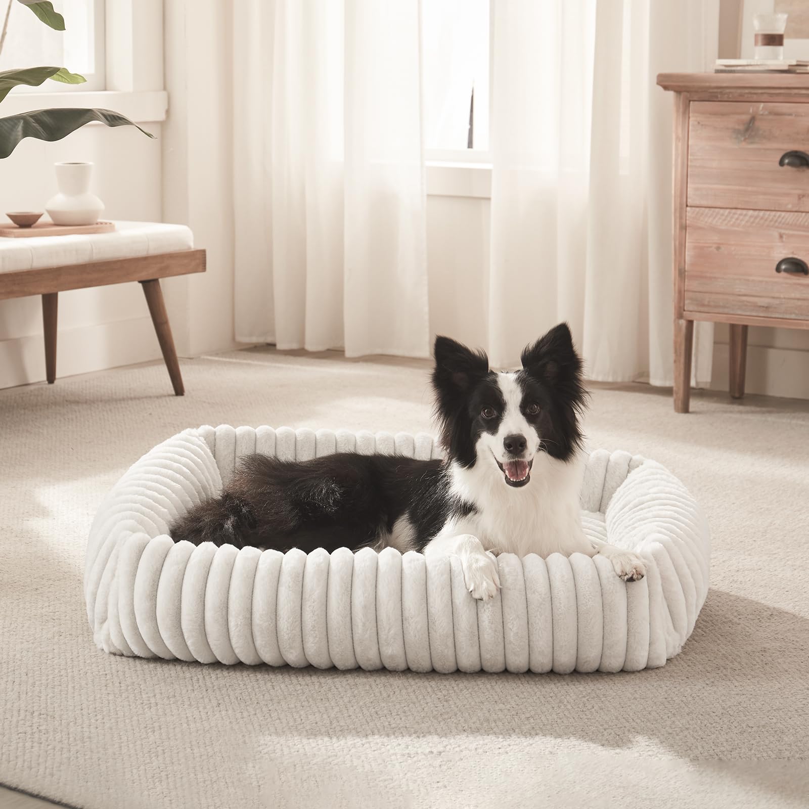 Cama Furtime para perro pequeño con base antideslizante para estabilidad.