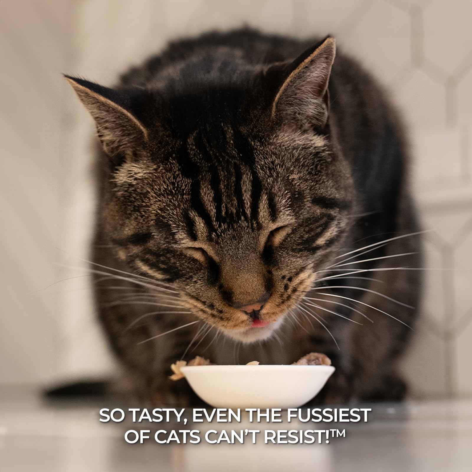 Fussie Cat etiqueta-datos-nutricionales: cumple perfiles AAFCO para todas las edades.