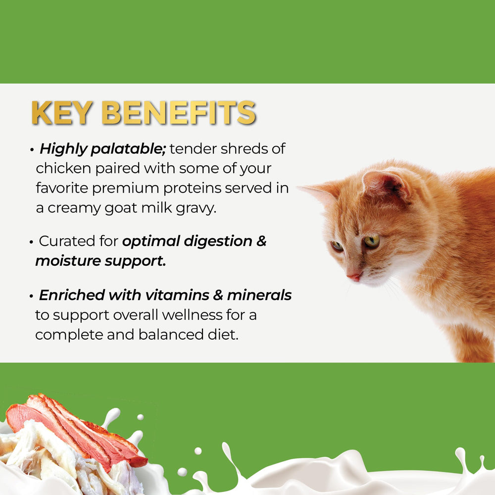 Fussie Cat Latas Variedad de sabores para enriquecer la experiencia felina