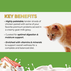 Fussie Cat Latas Variedad de sabores para enriquecer la experiencia felina
