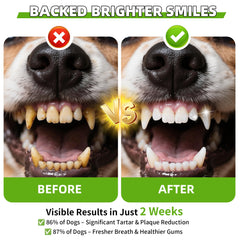 Fuzzycare polvo dental para perros, mezcla con comida para dentadura limpia.