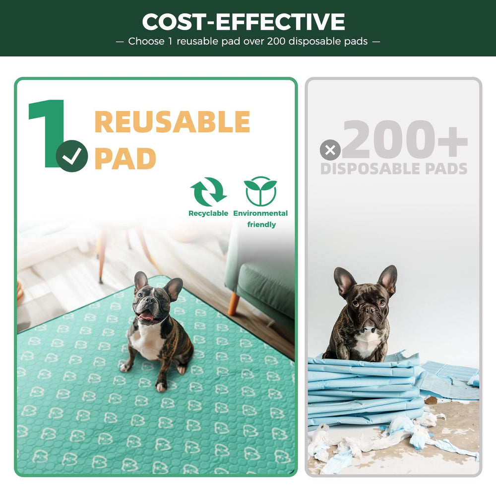 FXW base para jaula lavable; cómodo para tu mascota durante el entrenamiento.