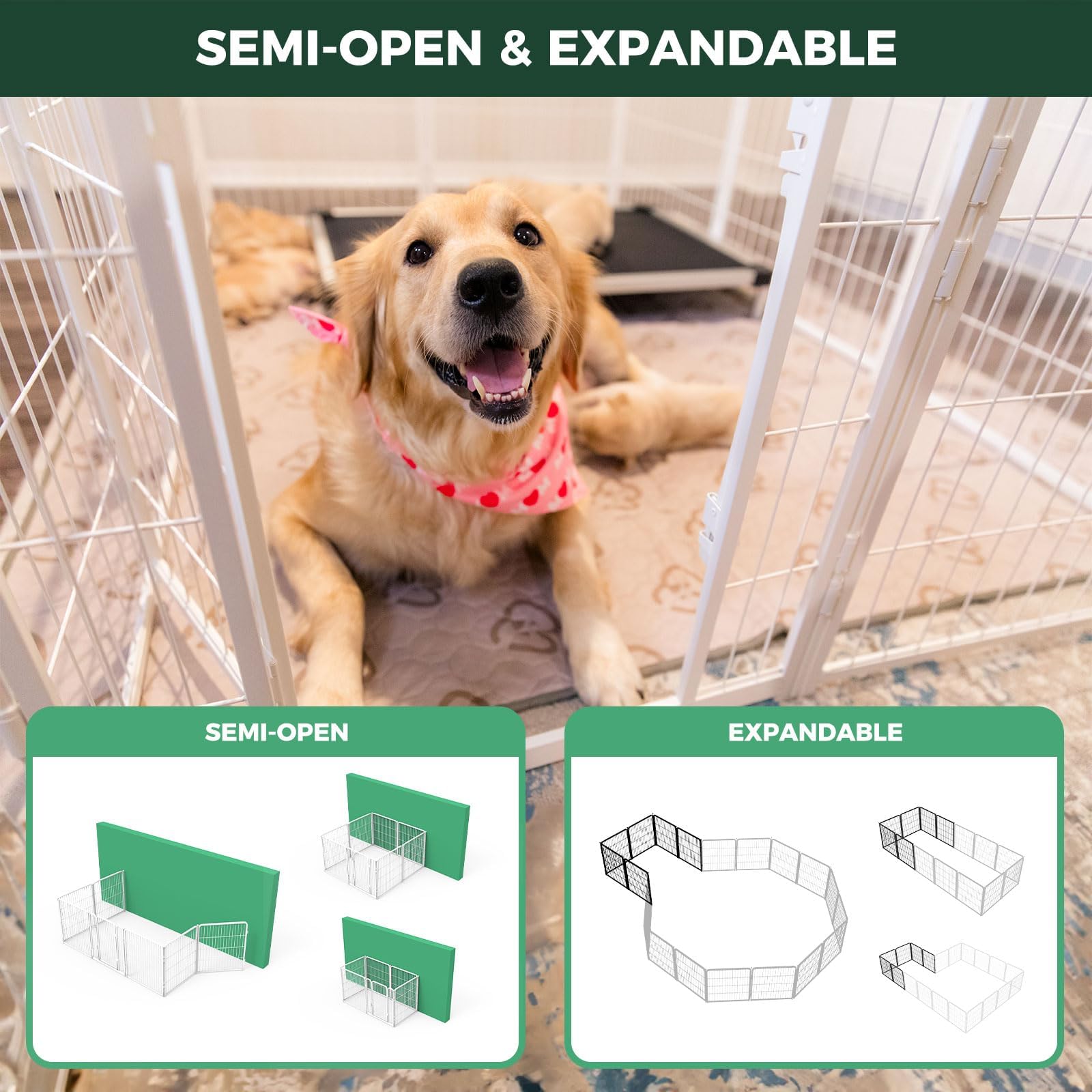 FXW Homeplus Desatado interior para perros pequeños con supervisión fácil