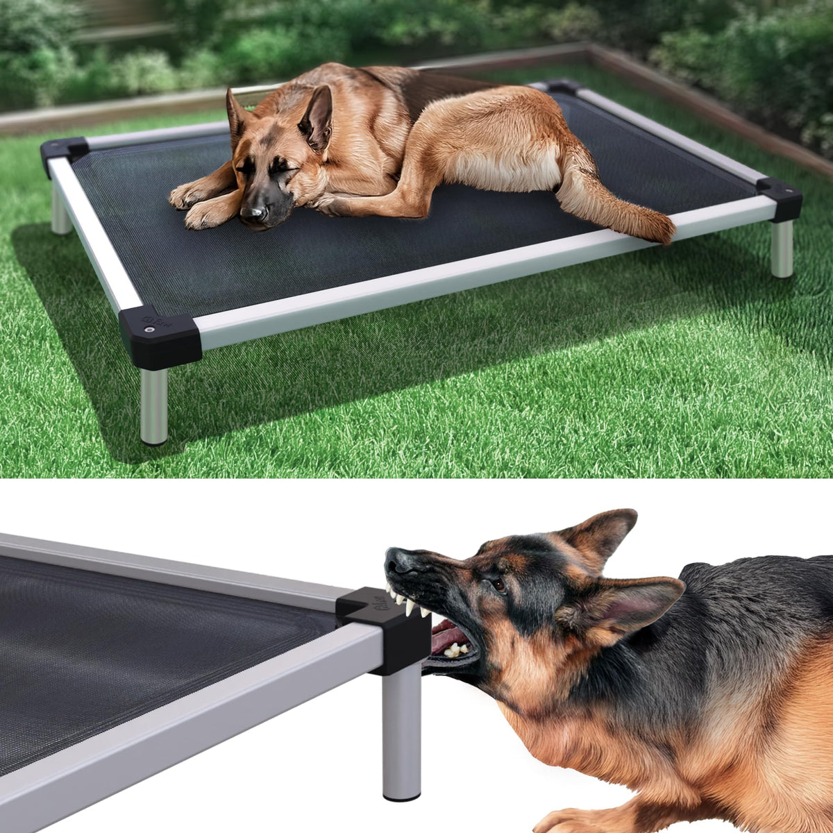 FXW TitanNest cama elevada para uso interior y exterior, confort fresco.