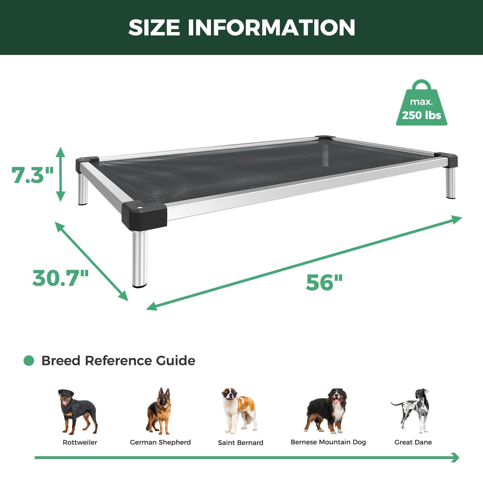 Confort y seguridad en FXW TitanNest para perros extragrandes