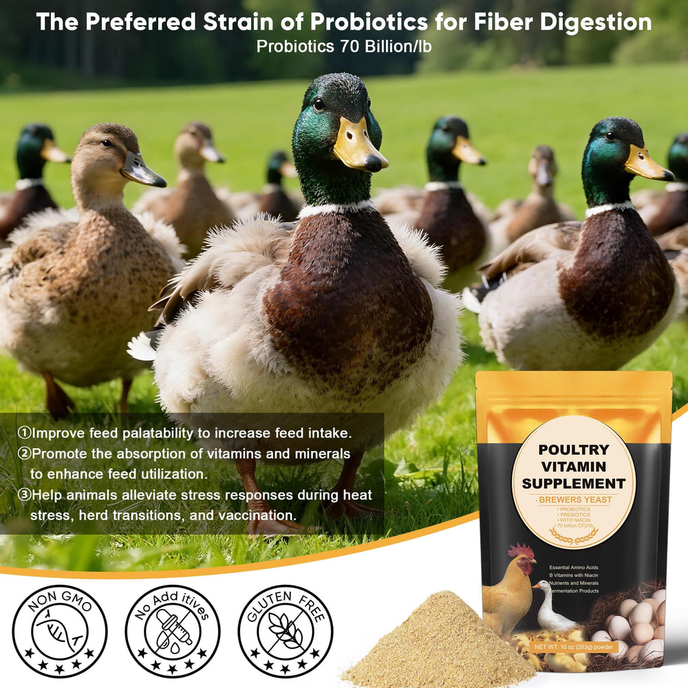 GAIAKINGCO soporte para pollitos jóvenes, crecimiento saludable