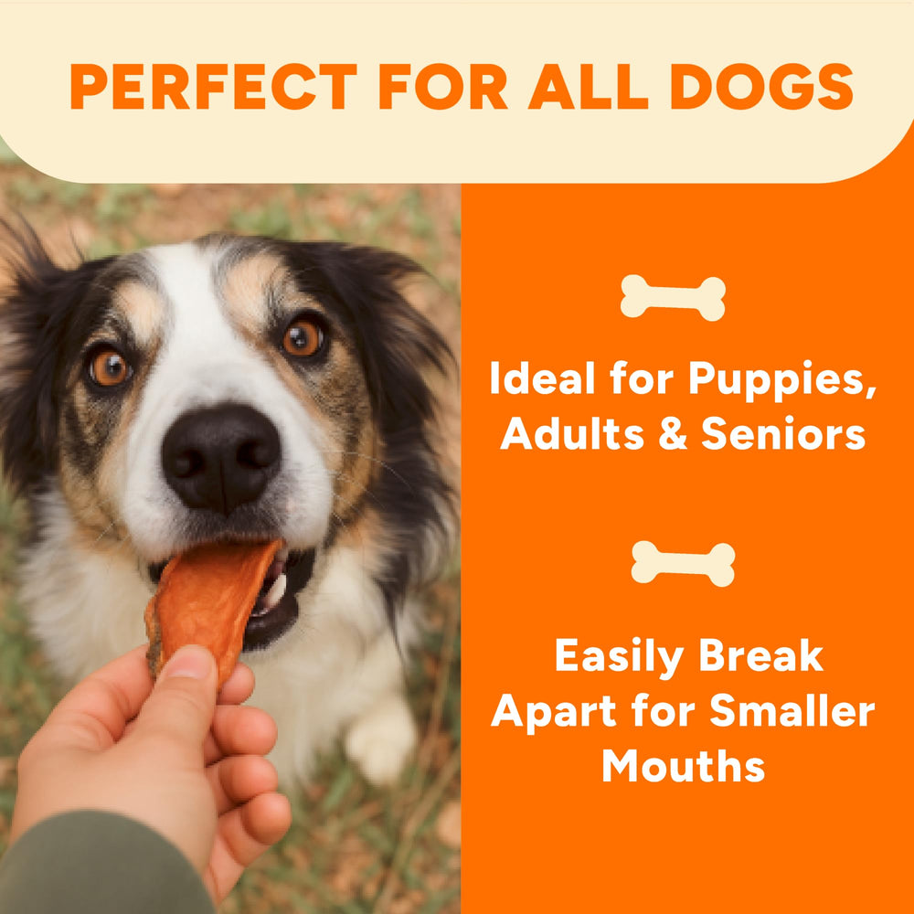 Gaines Family Farmstead Sweet Potato Dog Bones hechas en EE. UU con papas locales