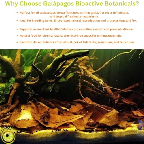 Galapagos Botánicos: corteza de almendra que ofrece refugio a camarones y peces.