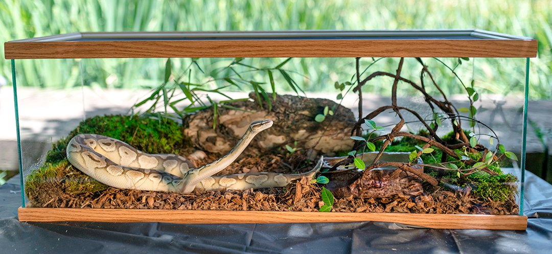 Galapagos Ciprés Tank Mulch: alta absorción para mantener la humedad del terrario