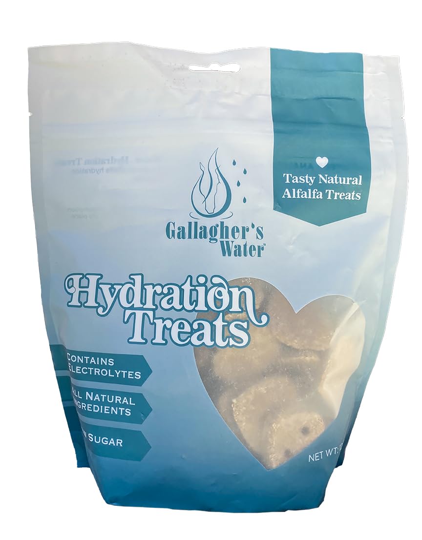 GALLAGHER'S WATER Corazón crujiente para caballos con electrolitos, snack de apoyo diario