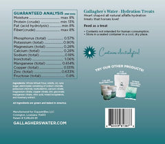 GALLAGHER'S WATER Ingredientes naturales en snack con electrolitos para recuperación leve