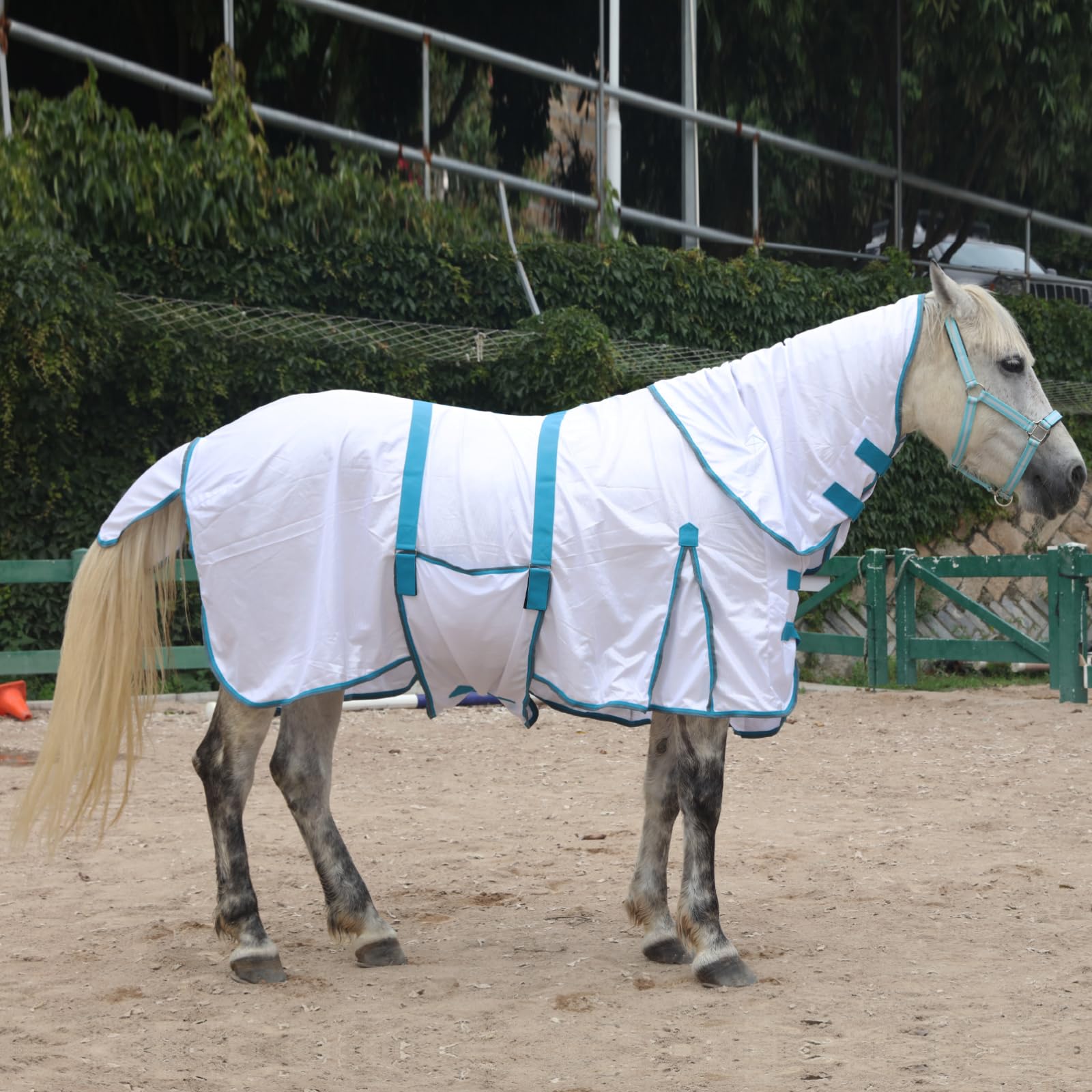 Gallopoff correas traseras ajustables mantienen la sábana en su lugar