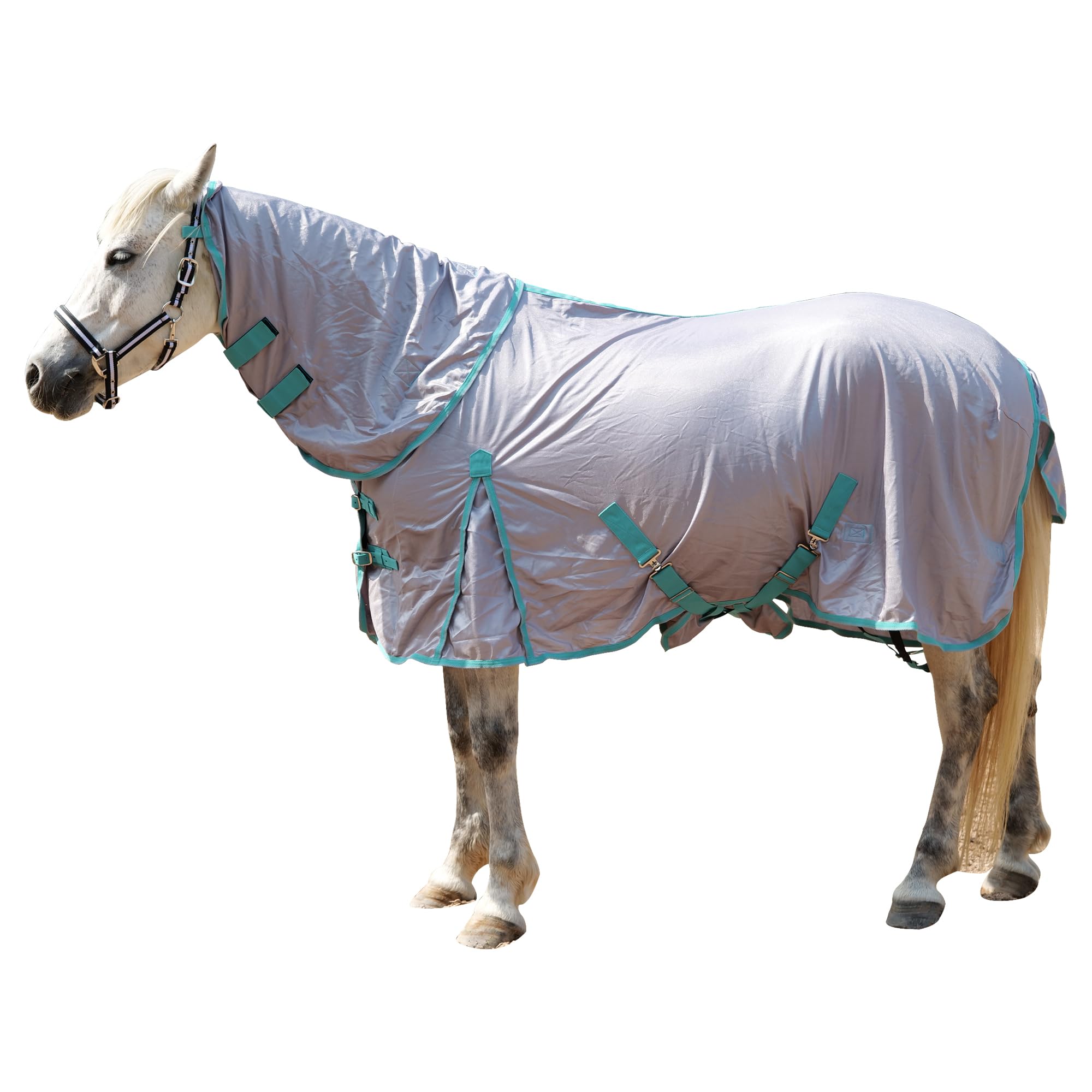 Gallopoff flysheet con doble hebilla y velcro para un ajuste cómodo y seguro.