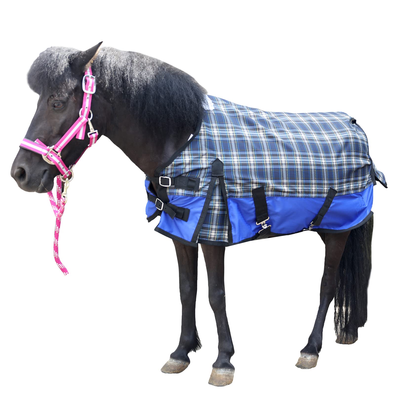 Gallopoff manta mini caballos: cierre frontal ajustable para un ajuste seguro durante el movimiento.
