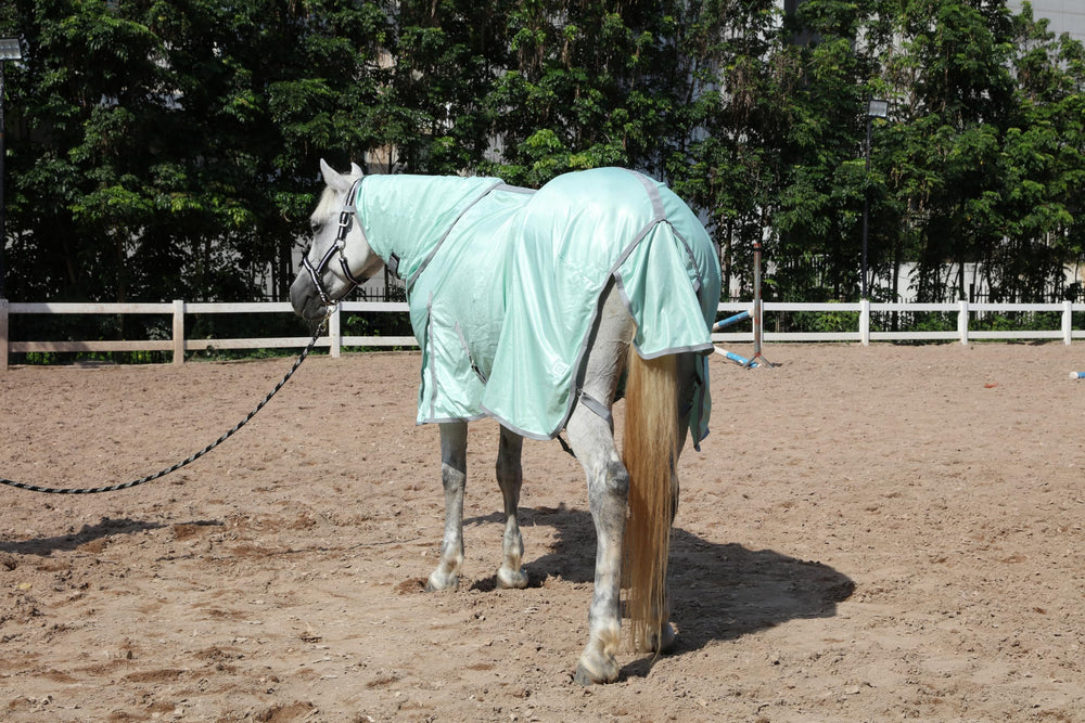 Gallopoff protección UV para caballos, ideal en días soleados