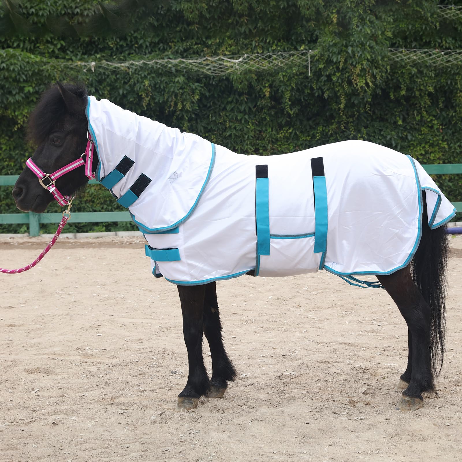 Gallopoff protección UV para días soleados y caballos mini.