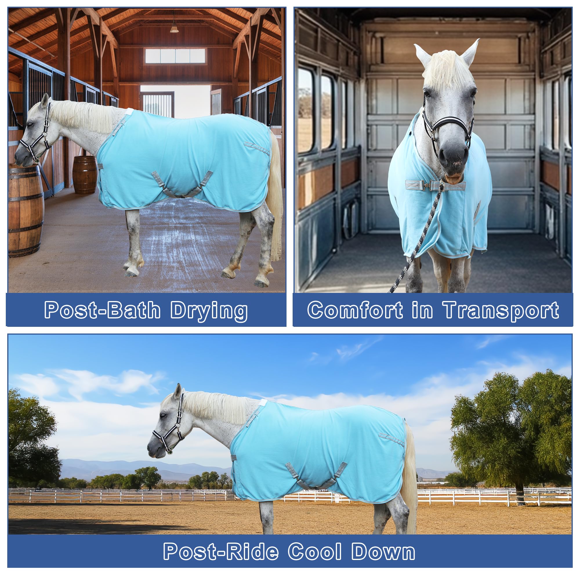 Gallopoff talla amplia compatible con caballos 13 a 17 manos