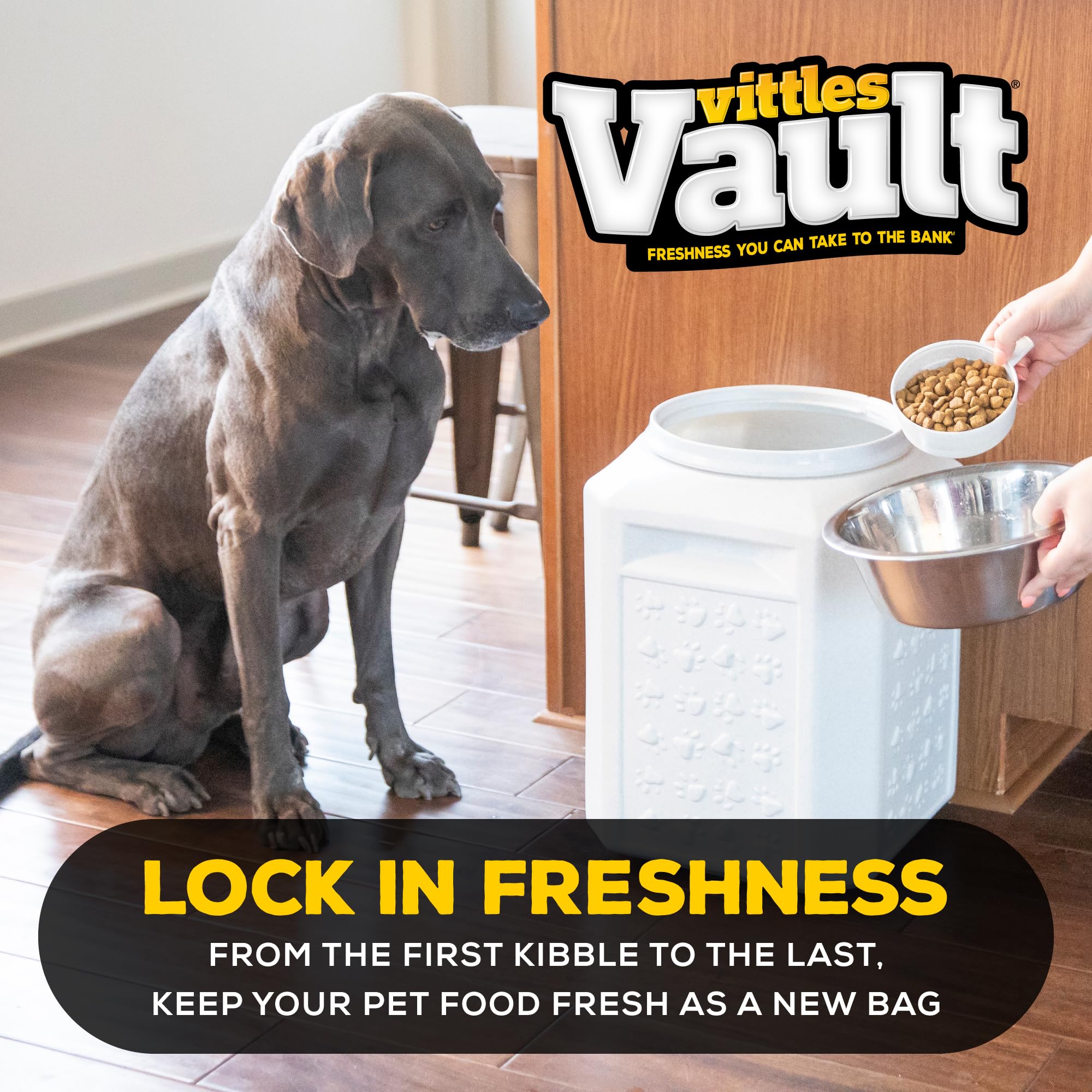 Gamma2 Vittles Vault con control de humedad para conservar kibble.