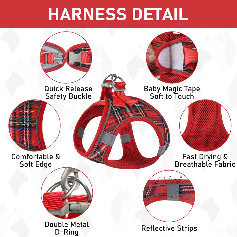 GAMUDA collar con campana y etiqueta para identificación rápida.