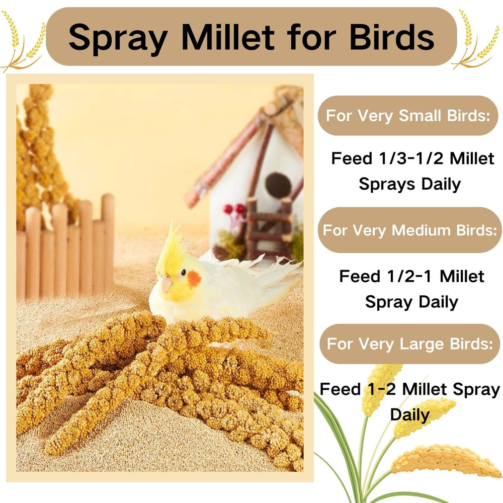 GANMHOILL sin-colorantes-artificiales-mijo, opción saludable para pajaros