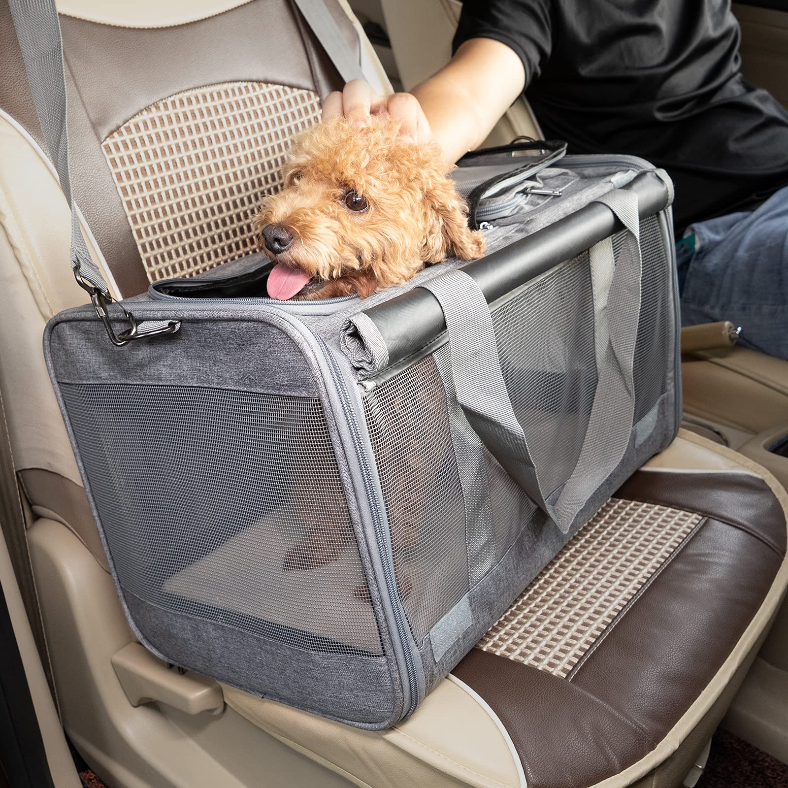 GAPZER transportín con diseño privado para visitas al veterinario o viaje