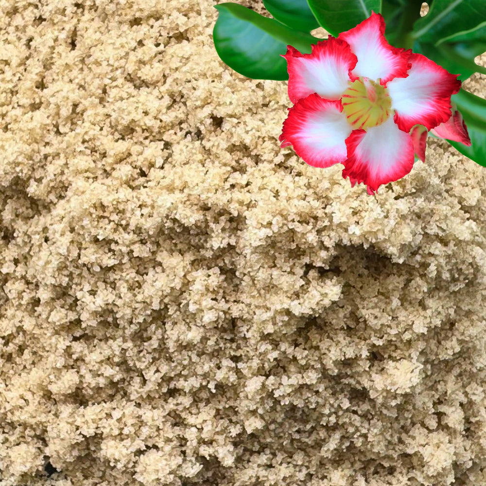 GARDENWISE arena para plantas: mejora la aireación en mezcla para macetas
