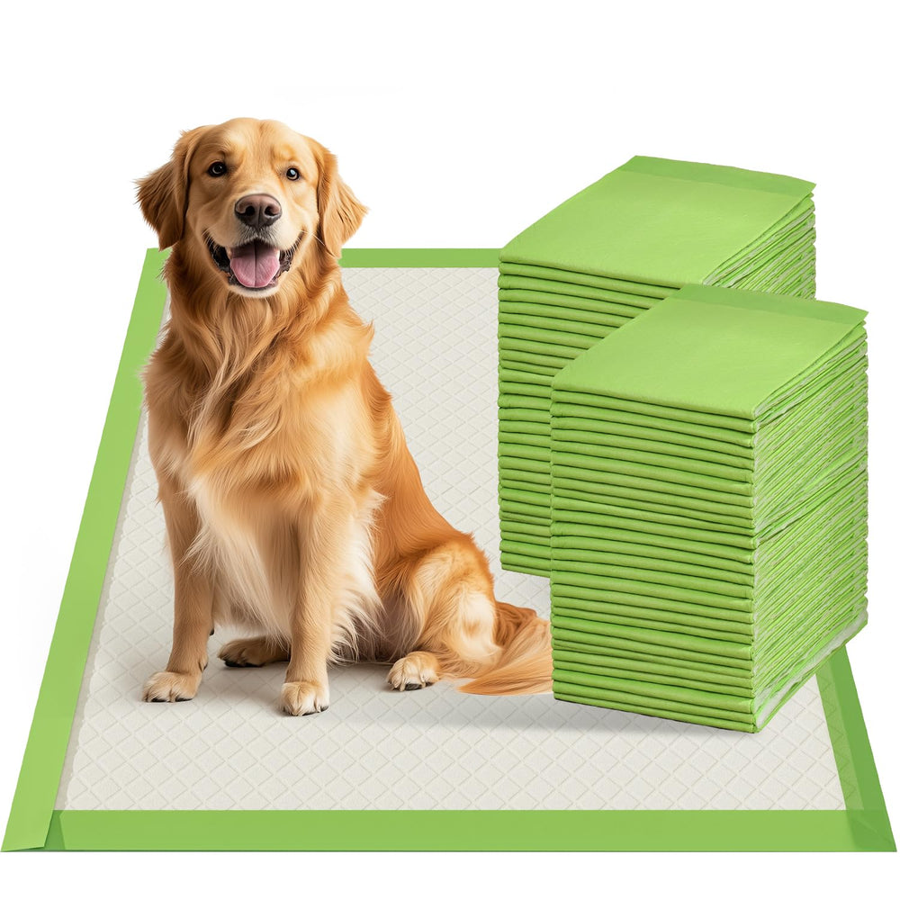 Gardner Pet pad bordes dobles para mayor contención y protección del suelo.