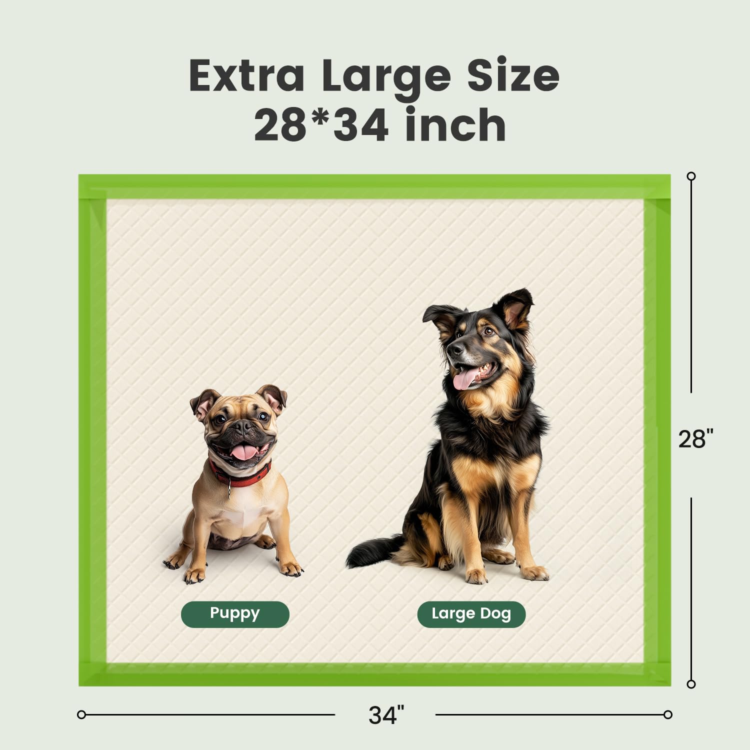 Gardner Pet pad eco polimero retiene orina sin dispersión ni rastro.
