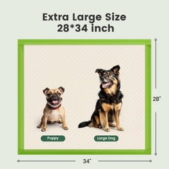 Gardner Pet tapete interior resistente evita filtraciones en el suelo