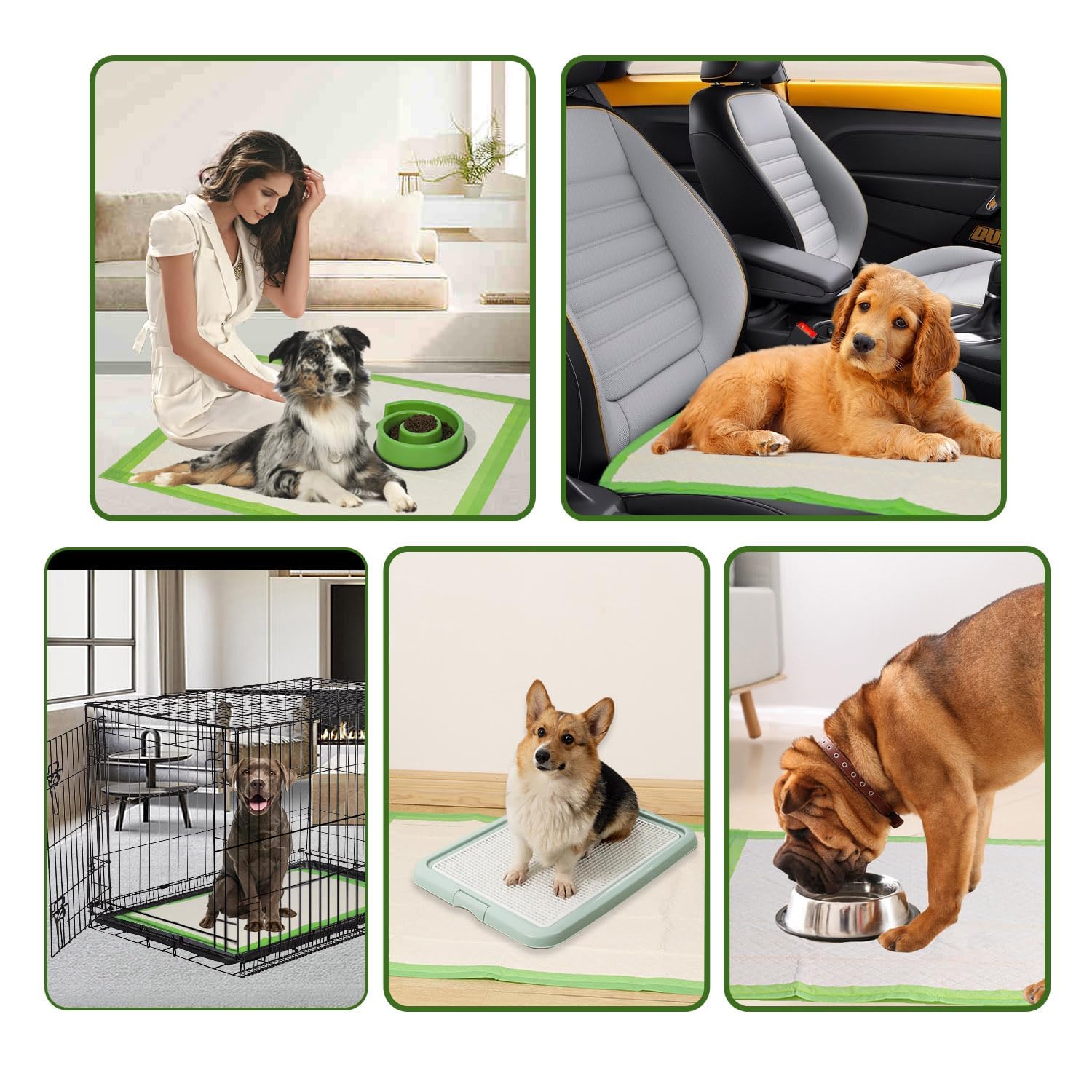 Gardner Pet pad protección del suelo durante 24 horas.