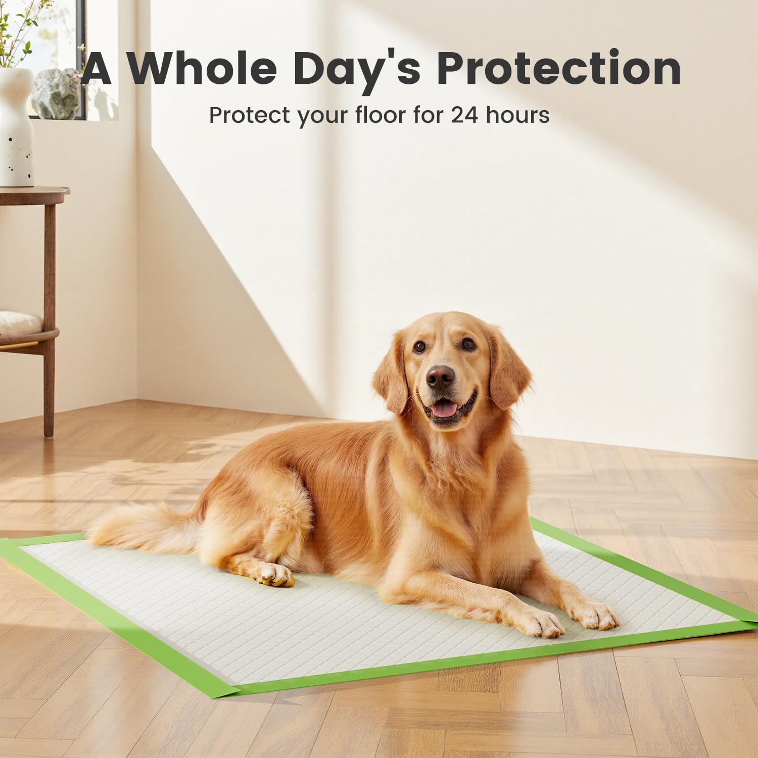 Gardner Pet tapete extragrande para cachorros y perros adultos