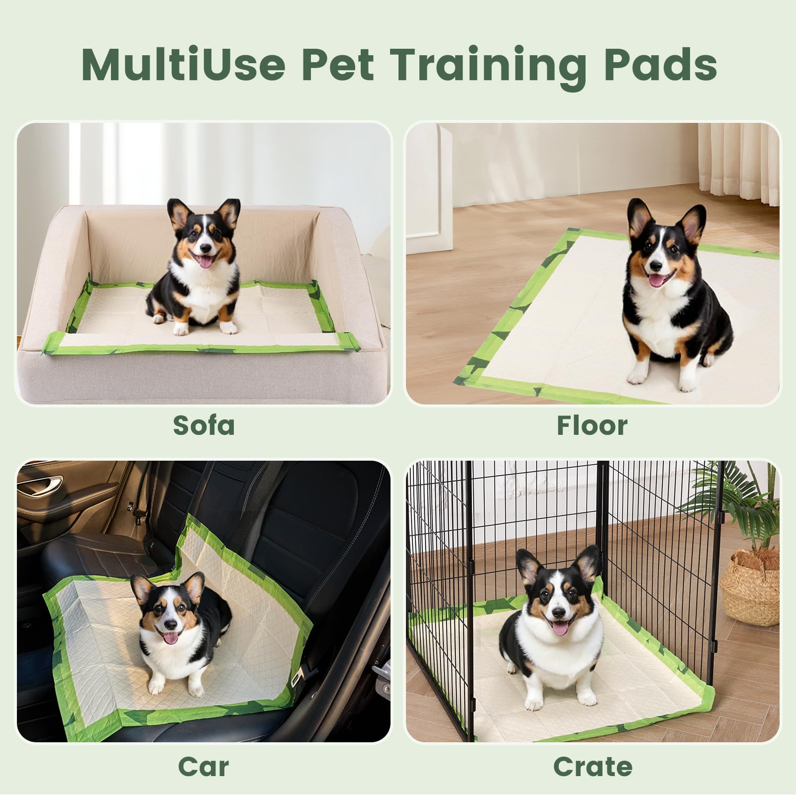 Gardner Pet uso multipropósito para entrenamiento, viajes y hogar