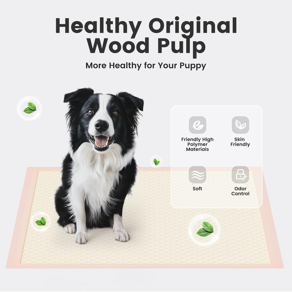 Gardner Pet pads XL núcleo de 6 capas para alta absorción.