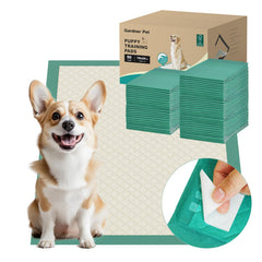 Gardner Pet paño absorbente para cachorros con adhesivo de cuatro puntos.