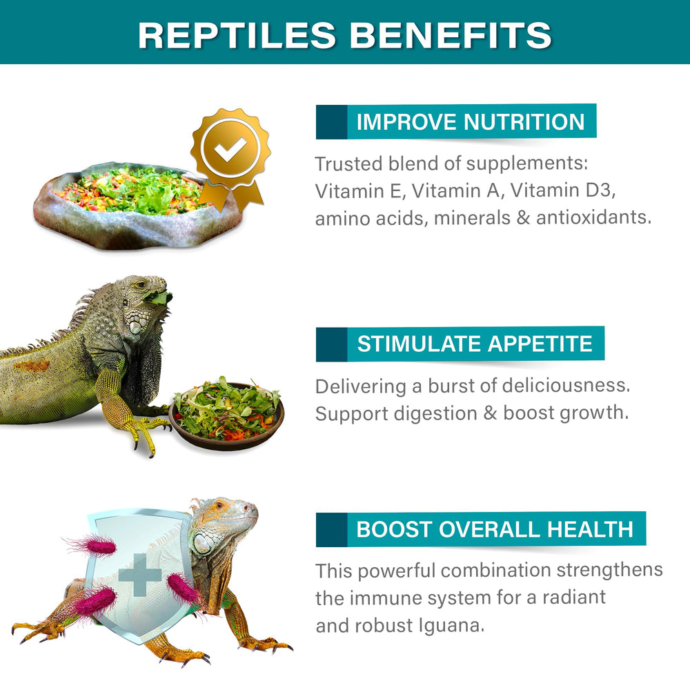 Gargeer Iguana Topper: favorece la digestión y aporta soporte nutricional diario