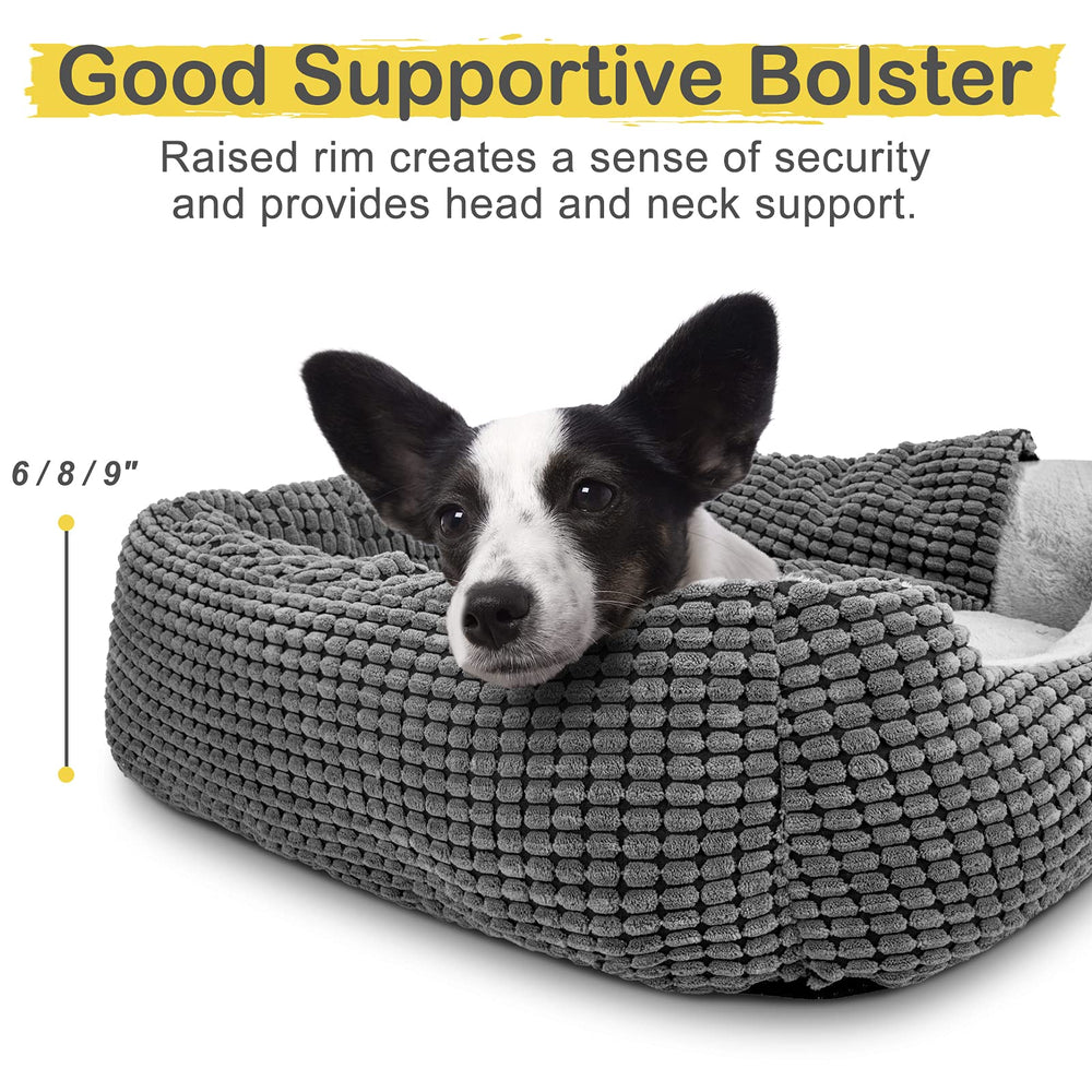 GASUR cama ortopédica para gatos, uso interior, estructura de apoyo.
