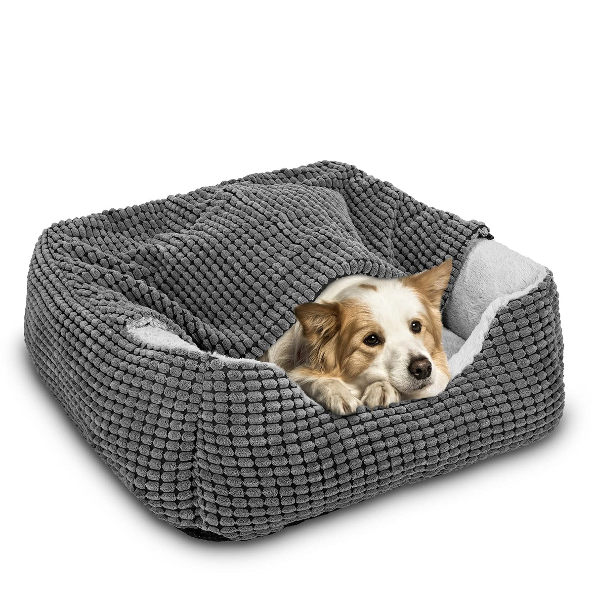 GASUR cama para perro rectangular con capucha, refugio cálido para dormir plácidamente.