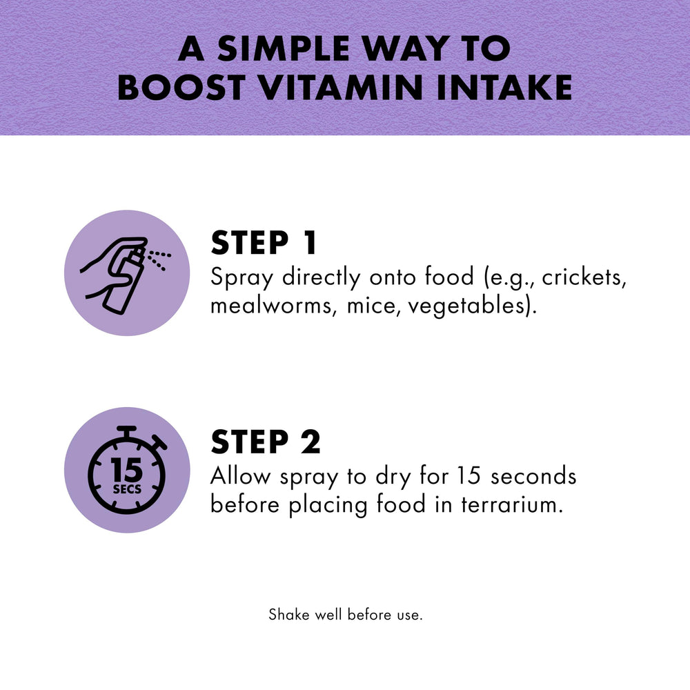 Geco consumiendo alimento con Zilla, aporte de vitaminas.
