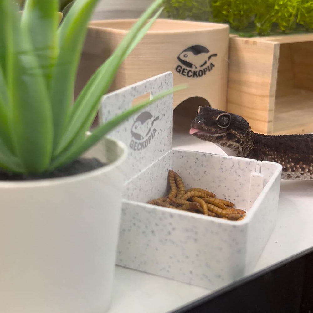 Geckopia Triple Dish Marble, diseño innovador para cuidado diario sin complicaciones.